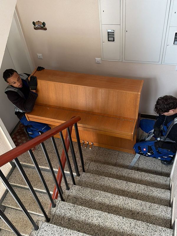 Zwei Kollegen mit Tragegurten bringen ein Klavier die Treppe hinab